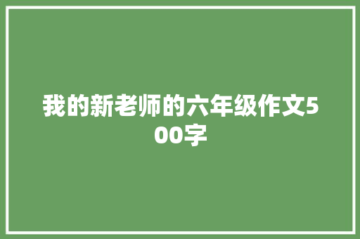 我的新老师的六年级作文500字