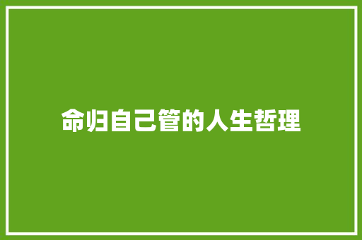 命归自己管的人生哲理 词汇积累