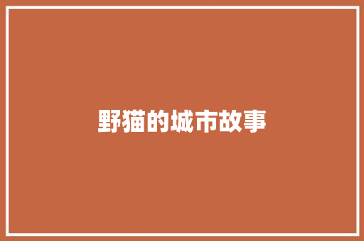 野猫的城市故事