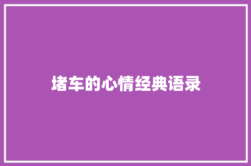 堵车的心情经典语录 商业文案