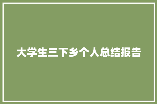 大学生三下乡个人总结报告 报告写作