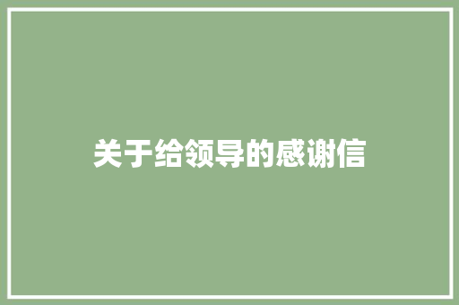 关于给领导的感谢信 写作技巧