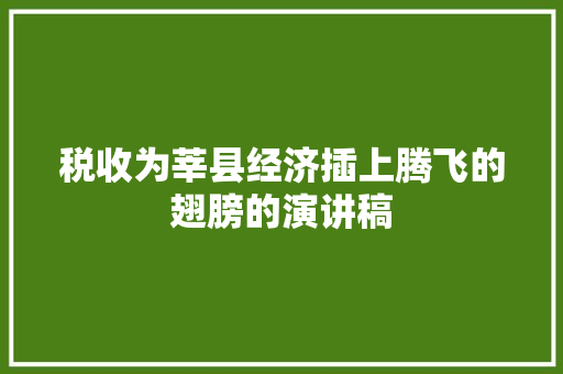税收为莘县经济插上腾飞的翅膀的演讲稿 词汇积累