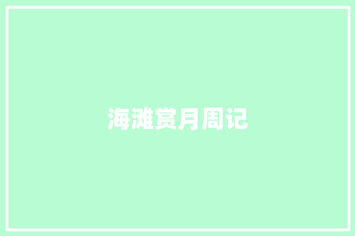 海滩赏月周记 词汇积累