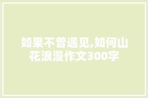 企业商业计划书格式 范文赏析