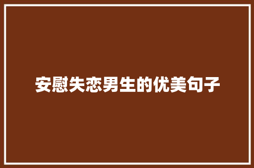 安慰失恋男生的优美句子 写作素材