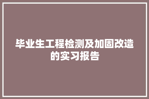 毕业生工程检测及加固改造的实习报告 商业文案