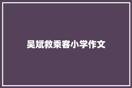 吴斌救乘客小学作文 范文赏析