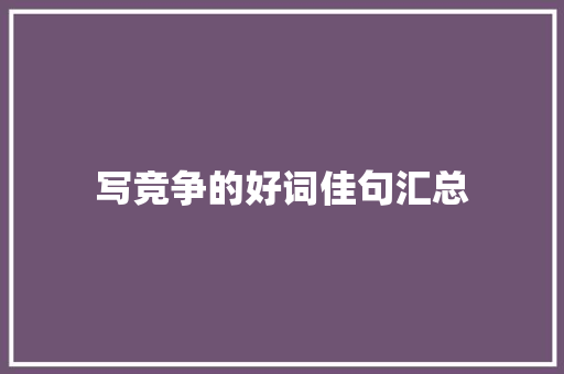 写竞争的好词佳句汇总 简历模板