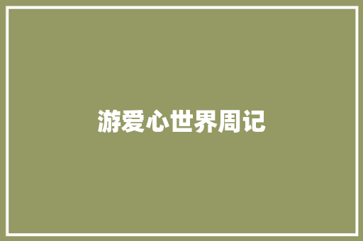 游爱心世界周记 简历模板