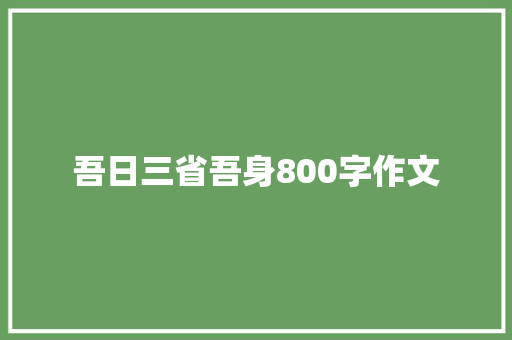吾日三省吾身800字作文 简历模板