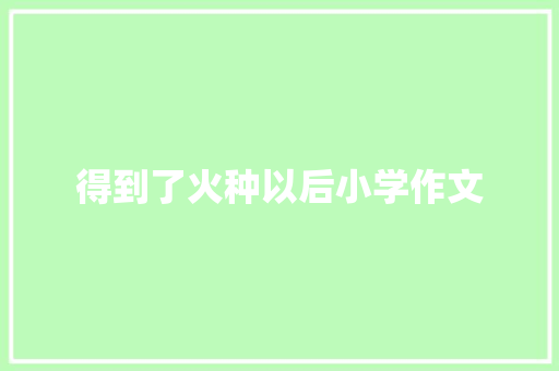 得到了火种以后小学作文 写作素材
