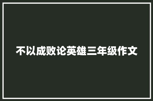 不以成败论英雄三年级作文 词汇积累