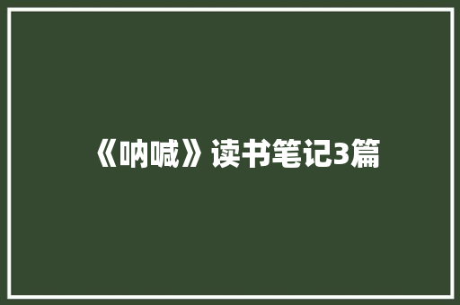 《呐喊》读书笔记3篇 报告写作