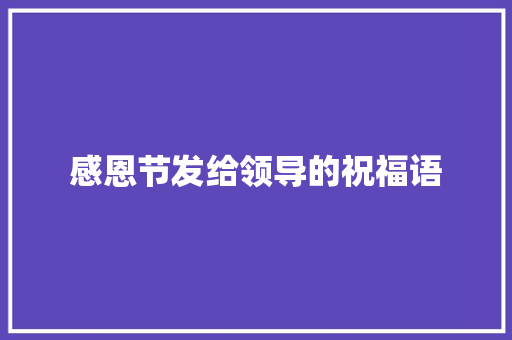 感恩节发给领导的祝福语 范文赏析