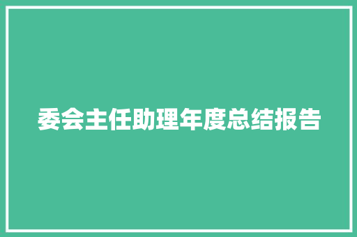 委会主任助理年度总结报告 商业文案