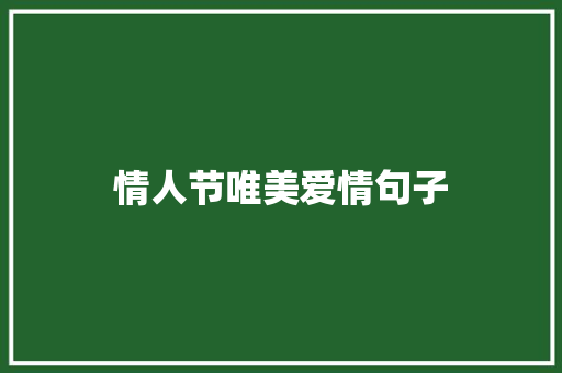 情人节唯美爱情句子 词汇积累