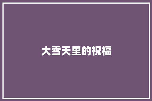 大雪天里的祝福 词汇积累