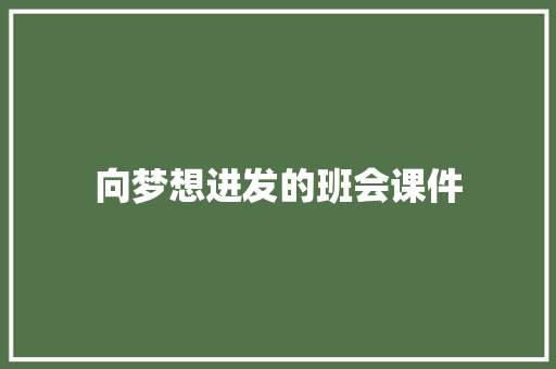 向梦想进发的班会课件 写作素材