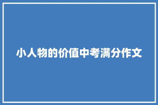 小人物的价值中考满分作文 写作社区