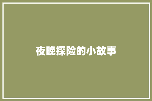 夜晚探险的小故事 简历模板