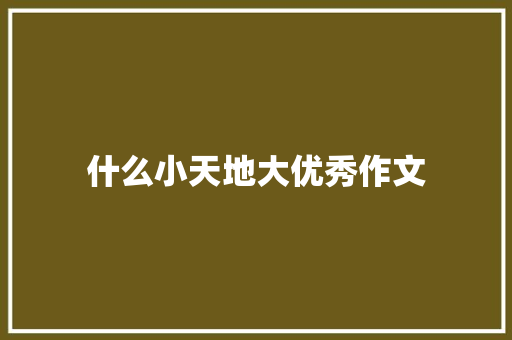 什么小天地大优秀作文