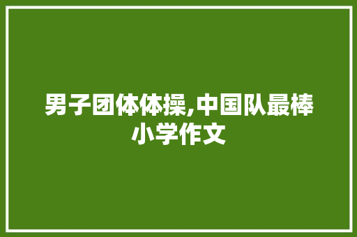 男子团体体操,中国队最棒小学作文 简历模板