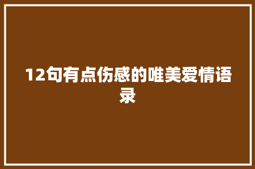 12句有点伤感的唯美爱情语录