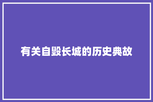 有关自毁长城的历史典故 写作技巧