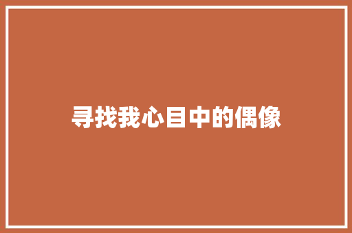 寻找我心目中的偶像 报告写作