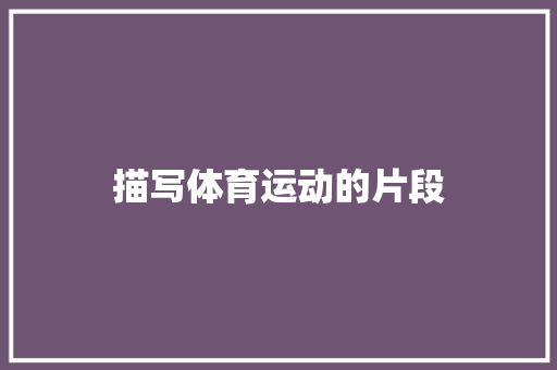 描写体育运动的片段 报告写作