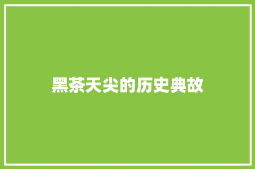 黑茶天尖的历史典故 范文赏析
