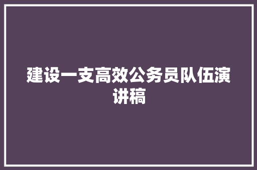 建设一支高效公务员队伍演讲稿 范文赏析