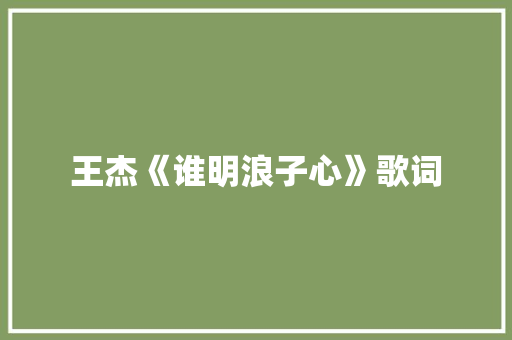 王杰《谁明浪子心》歌词 商业文案