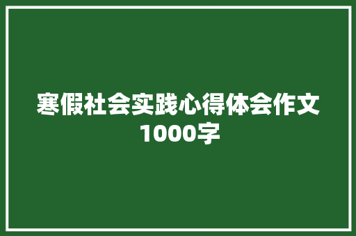 寒假社会实践心得体会作文1000字 词汇积累