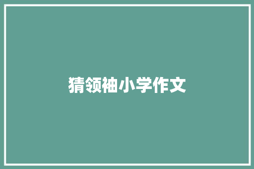 猜领袖小学作文 词汇积累