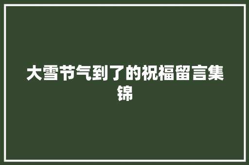 大雪节气到了的祝福留言集锦 写作素材
