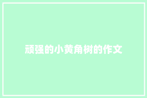 顽强的小黄角树的作文 报告写作