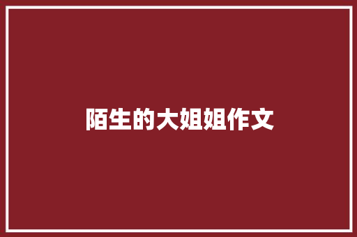 陌生的大姐姐作文