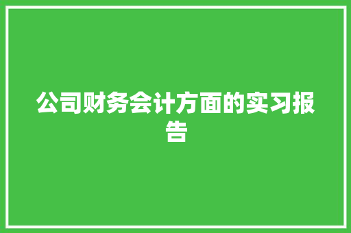 公司财务会计方面的实习报告 报告写作