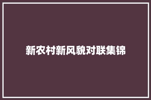 新农村新风貌对联集锦 报告写作