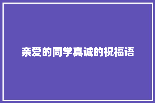 亲爱的同学真诚的祝福语 词汇积累