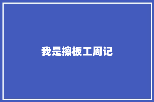 我是擦板工周记 写作素材