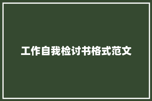 工作自我检讨书格式范文 报告写作