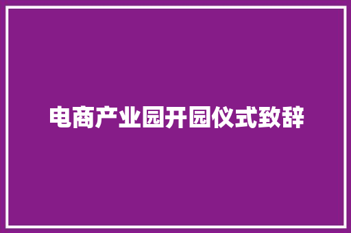 电商产业园开园仪式致辞 范文赏析