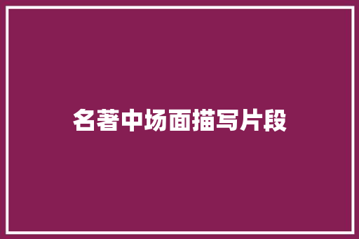 名著中场面描写片段 商业文案