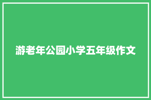 游老年公园小学五年级作文