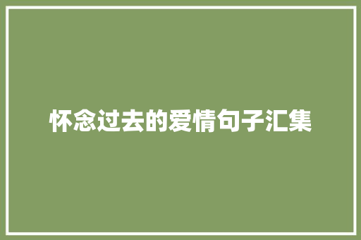 怀念过去的爱情句子汇集 诗歌创作
