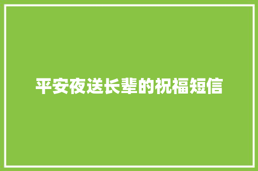 平安夜送长辈的祝福短信 范文赏析