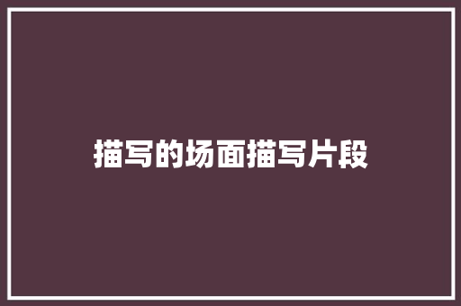 描写的场面描写片段